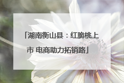 湖南衡山县：红脆桃上市 电商助力拓销路