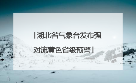 湖北省气象台发布强对流黄色省级预警