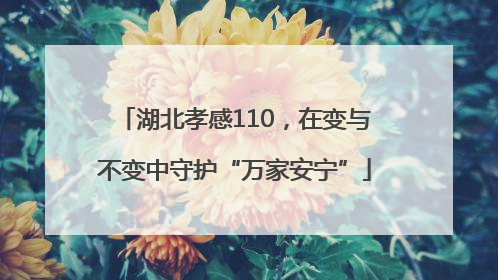 湖北孝感110，在变与不变中守护“万家安宁”