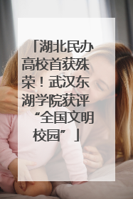 湖北民办高校首获殊荣！武汉东湖学院获评“全国文明校园”