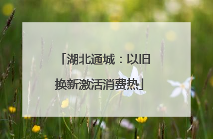 湖北通城：以旧换新激活消费热