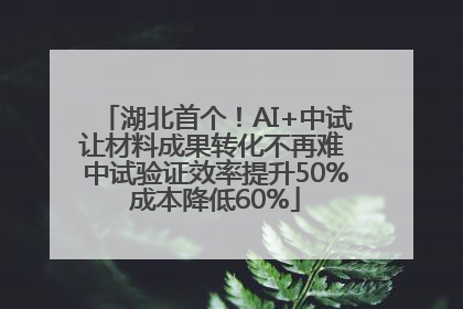 湖北首个！AI+中试让材料成果转化不再难 中试验证效率提升50%成本降低60%