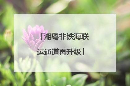 湘粤非铁海联运通道再升级