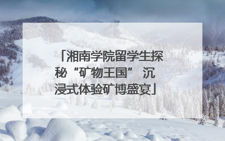 湘南学院留学生探秘“矿物王国” 沉浸式体验矿博盛宴