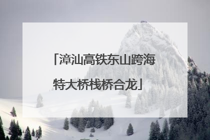 漳汕高铁东山跨海特大桥栈桥合龙