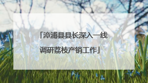 漳浦县县长深入一线调研荔枝产销工作