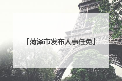 菏泽市发布人事任免