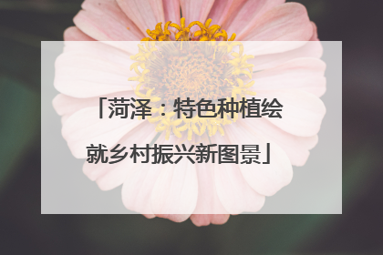 菏泽：特色种植绘就乡村振兴新图景