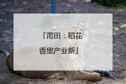 莆田：稻花香里产业新