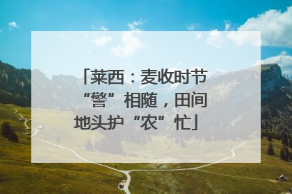 莱西：麦收时节“警”相随，田间地头护“农”忙