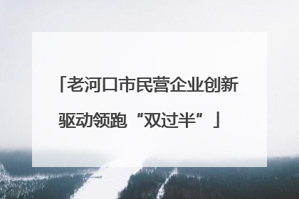 老河口市民营企业创新驱动领跑“双过半”
