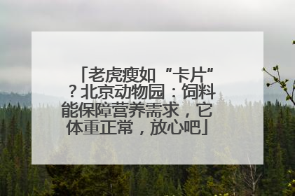 老虎瘦如“卡片”？北京动物园：饲料能保障营养需求，它体重正常，放心吧