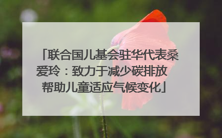 联合国儿基会驻华代表桑爱玲：致力于减少碳排放 帮助儿童适应气候变化