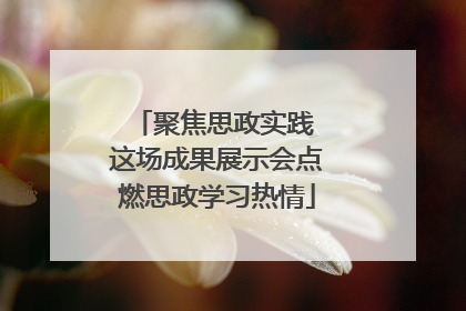 聚焦思政实践 这场成果展示会点燃思政学习热情