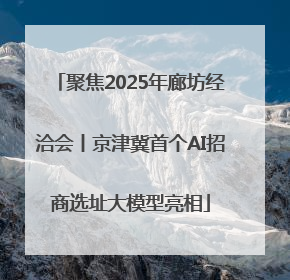 聚焦2025年廊坊经洽会丨京津冀首个AI招商选址大模型亮相