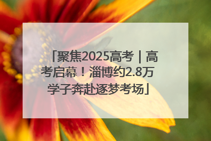 聚焦2025高考｜高考启幕！淄博约2.8万学子奔赴逐梦考场