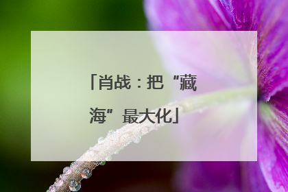 肖战：把“藏海”最大化