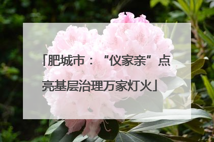 肥城市：“仪家亲”点亮基层治理万家灯火