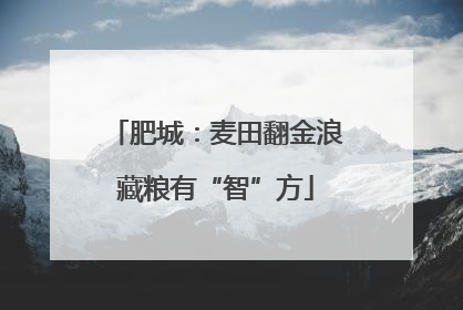 肥城：麦田翻金浪藏粮有“智”方