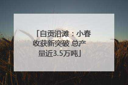 自贡沿滩：小春收获新突破 总产量近3.5万吨