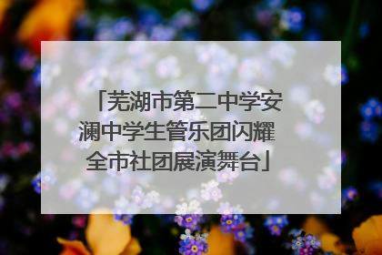 芜湖市第二中学安澜中学生管乐团闪耀全市社团展演舞台