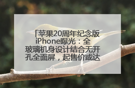 苹果20周年纪念版iPhone曝光：全玻璃机身设计结合无开孔全面屏，起售价或达1.45万人民币