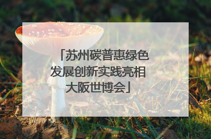 苏州碳普惠绿色发展创新实践亮相大阪世博会