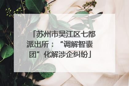 苏州市吴江区七都派出所：“调解智囊团”化解涉企纠纷