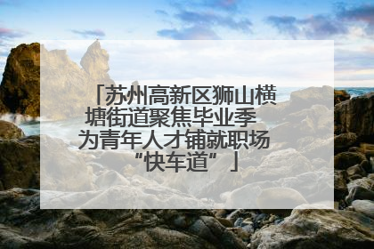 苏州高新区狮山横塘街道聚焦毕业季 为青年人才铺就职场“快车道”