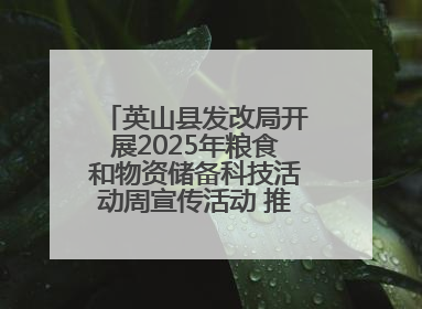 英山县发改局开展2025年粮食和物资储备科技活动周宣传活动 推进科技兴粮兴储