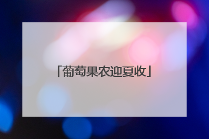 葡萄果农迎夏收