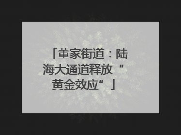 董家街道：陆海大通道释放“黄金效应”