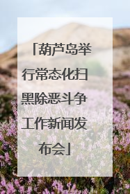 葫芦岛举行常态化扫黑除恶斗争工作新闻发布会