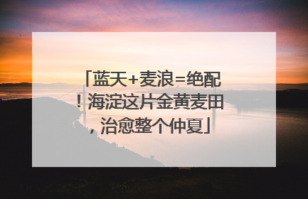 蓝天+麦浪=绝配！海淀这片金黄麦田，治愈整个仲夏