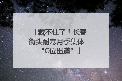 藏不住了！长春街头耐寒月季集体“C位出道”