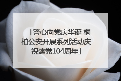 警心向党庆华诞 桐柏公安开展系列活动庆祝建党104周年
