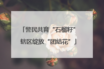 警民共育“石榴籽” 辖区绽放“团结花”