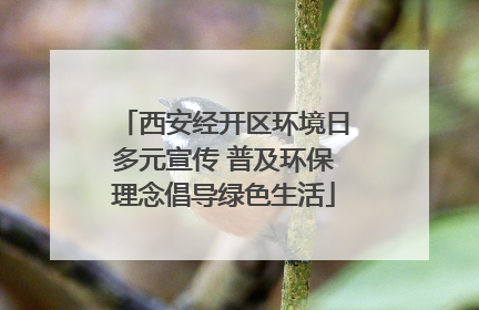 西安经开区环境日多元宣传 普及环保理念倡导绿色生活