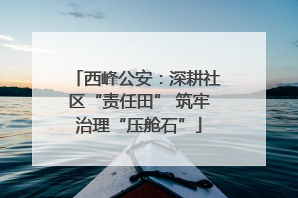 西峰公安：深耕社区“责任田” 筑牢治理“压舱石”