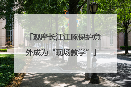 观摩长江江豚保护意外成为“现场教学”