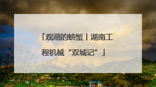 观潮的螃蟹丨湖南工程机械“双城记”