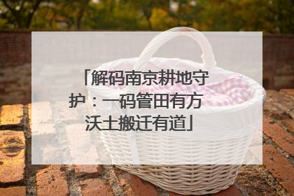 解码南京耕地守护：一码管田有方 沃土搬迁有道
