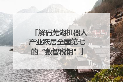 解码芜湖机器人产业跃居全国第七的“数智税钥”