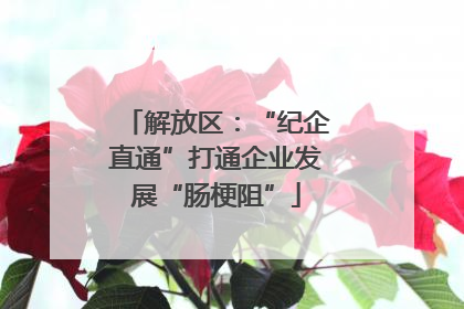 解放区：“纪企直通”打通企业发展“肠梗阻”