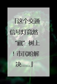 这个交通信号灯竟然“藏”树上！市民盼解决……
