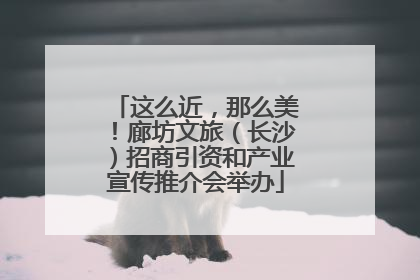 这么近，那么美！廊坊文旅（长沙）招商引资和产业宣传推介会举办