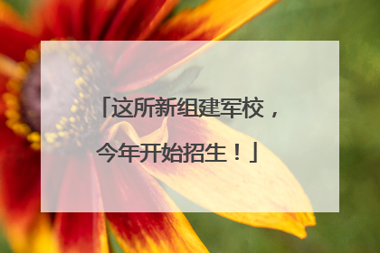 这所新组建军校，今年开始招生！