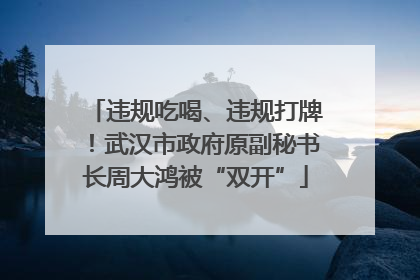 违规吃喝、违规打牌！武汉市政府原副秘书长周大鸿被“双开”