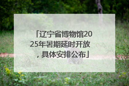 辽宁省博物馆2025年暑期延时开放，具体安排公布