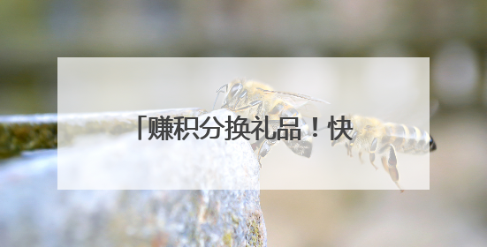 赚积分换礼品！快来参加上游新闻城市观鸟科普活动
